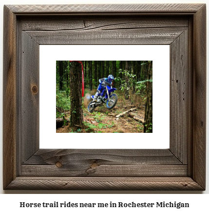 horse trail rides near me in Rochester, Michigan